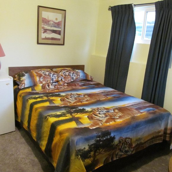 3 piece Queen Duvet cover with Two matching Pillow Covers -  Lion Design - Picture 6 of 6